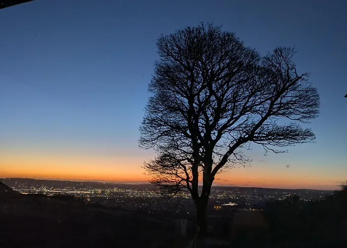 Cavehill City View